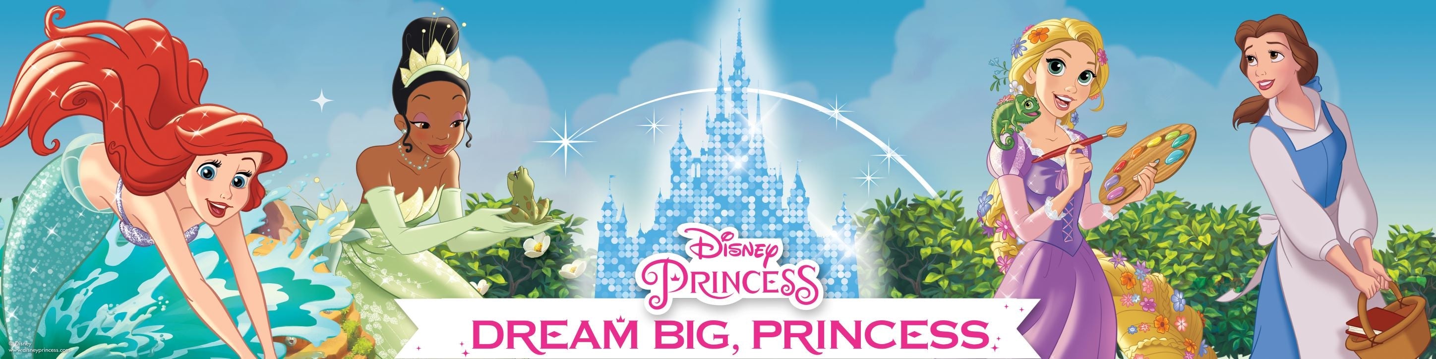 Google Princess Officially Licensed Disney Princess Costumes | Smiffys.com1