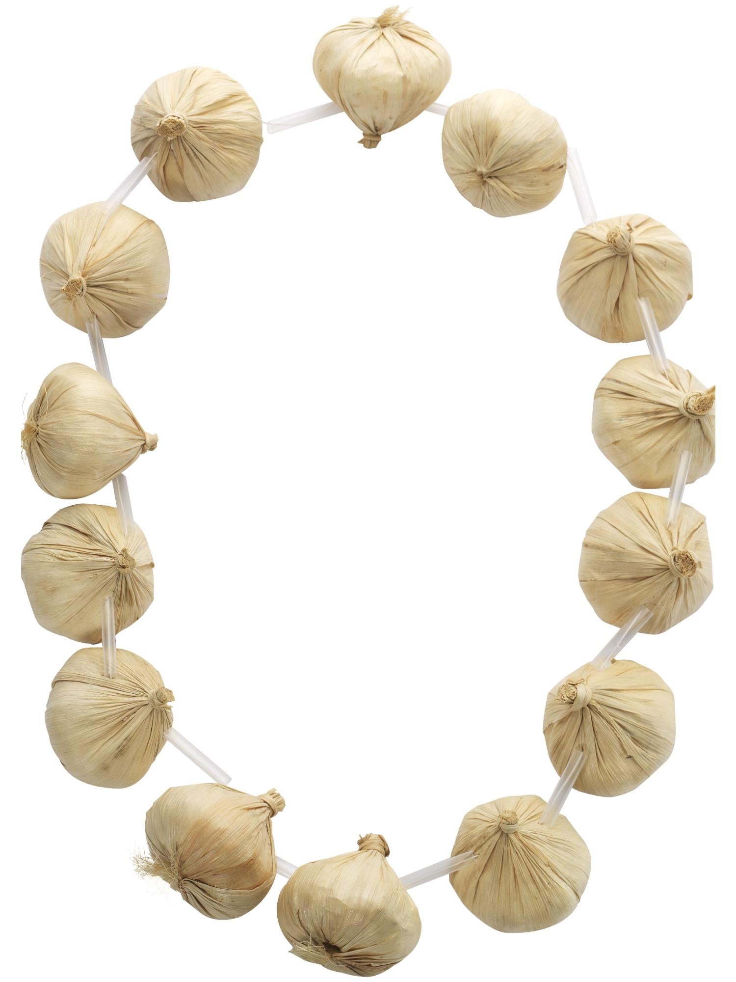 Smiffy's | Accessories | 525smiffys Garlic Garland Necklace