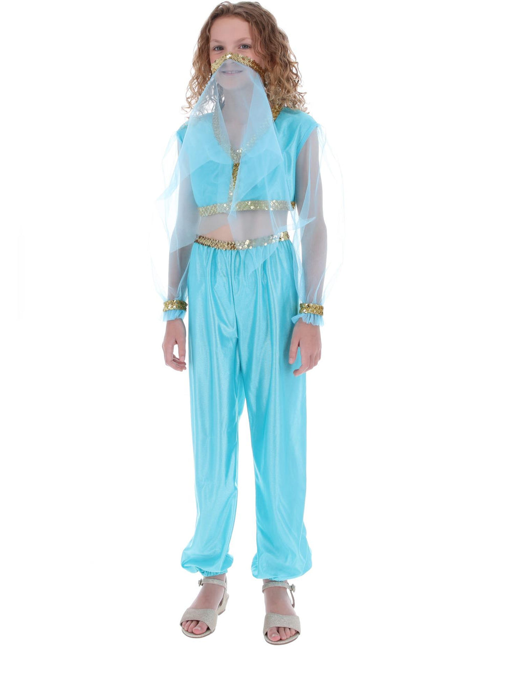 Arabian Princess Costume