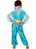 Arabian Princess Costume