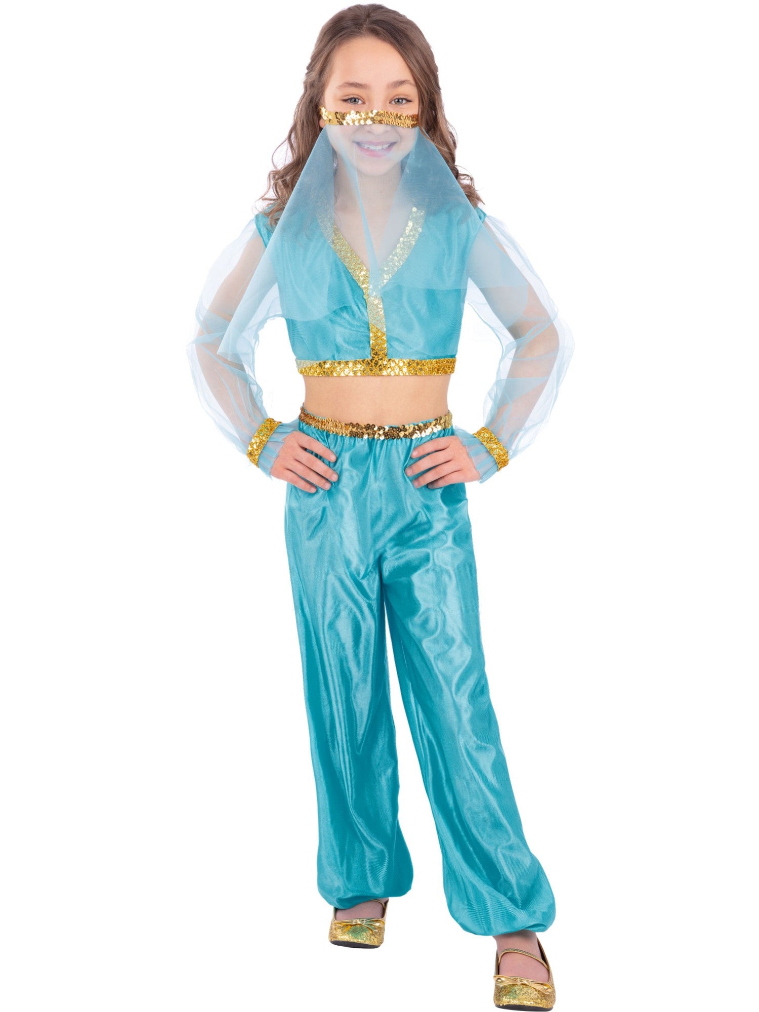 Arabian Princess Costume