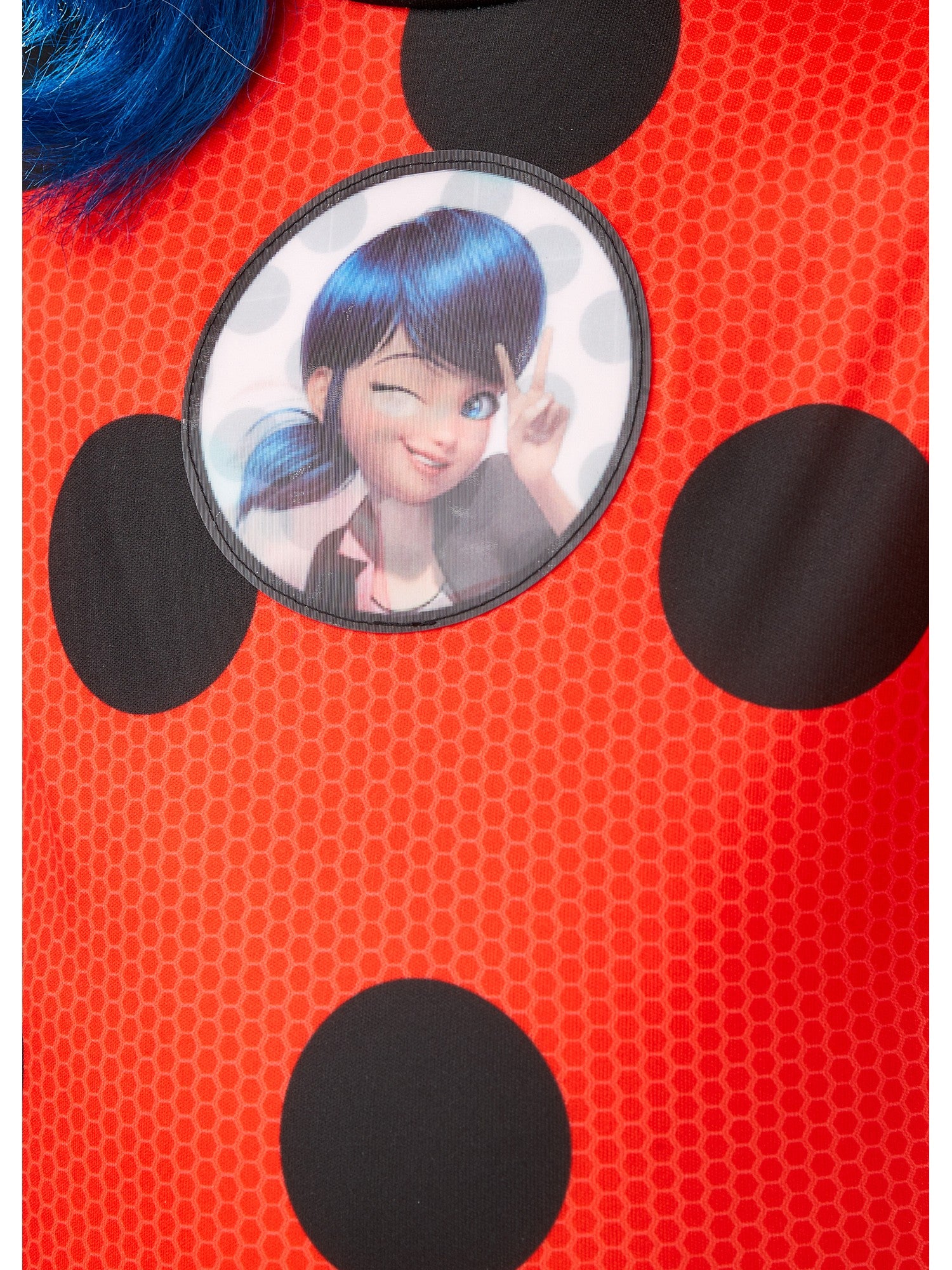 Kids Deluxe Ladybug Costume