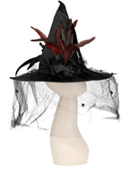 Witch Hat, Feathers & Netting