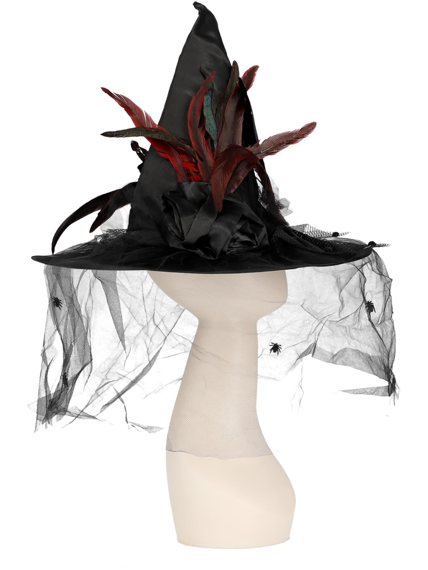 Witch Hat, Feathers & Netting