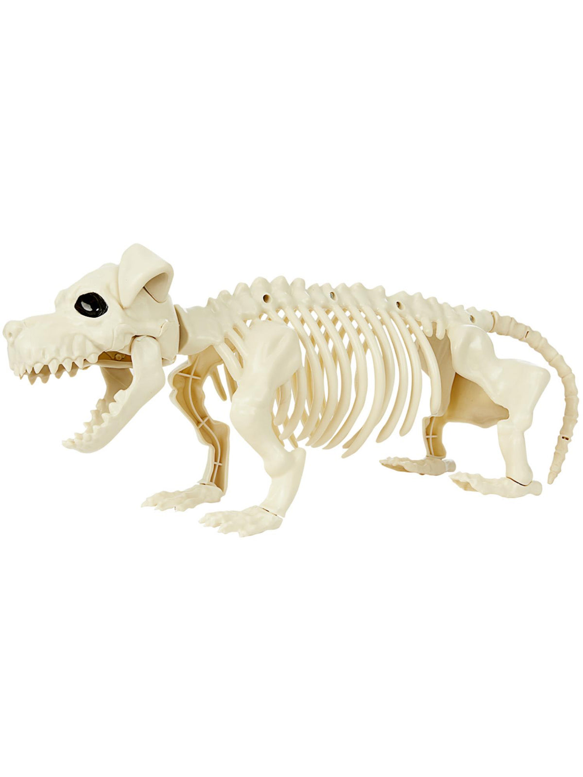Dog Skeleton Prop