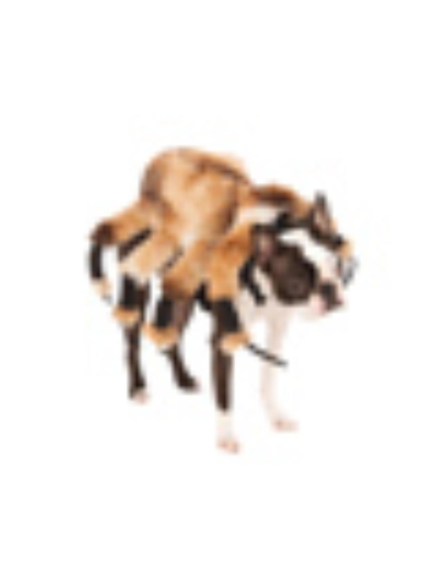 Giant Spider Pet Costume