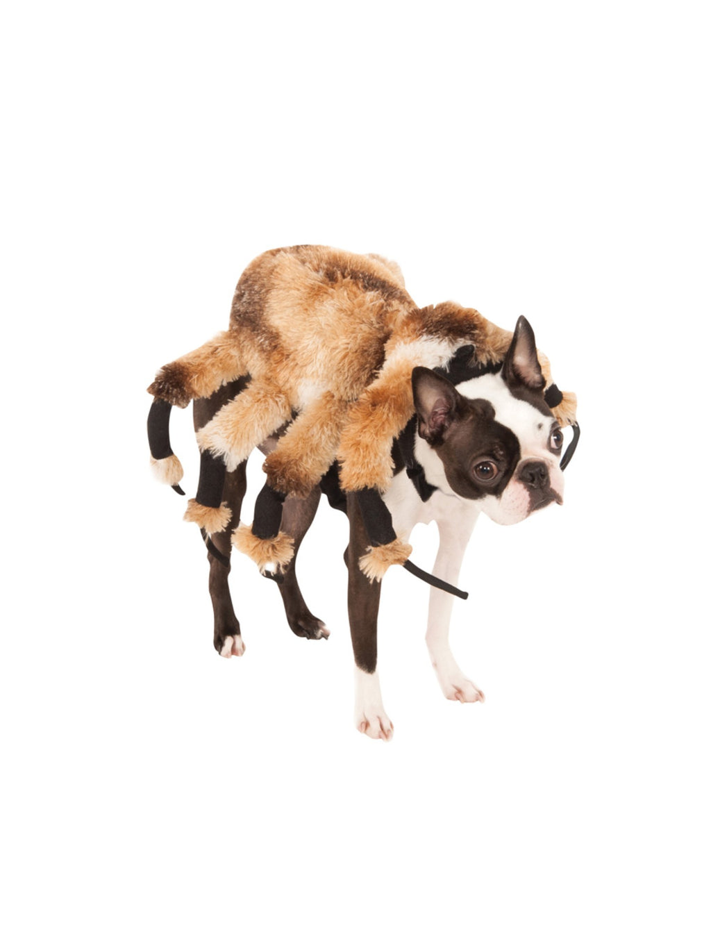 Giant Spider Pet Costume