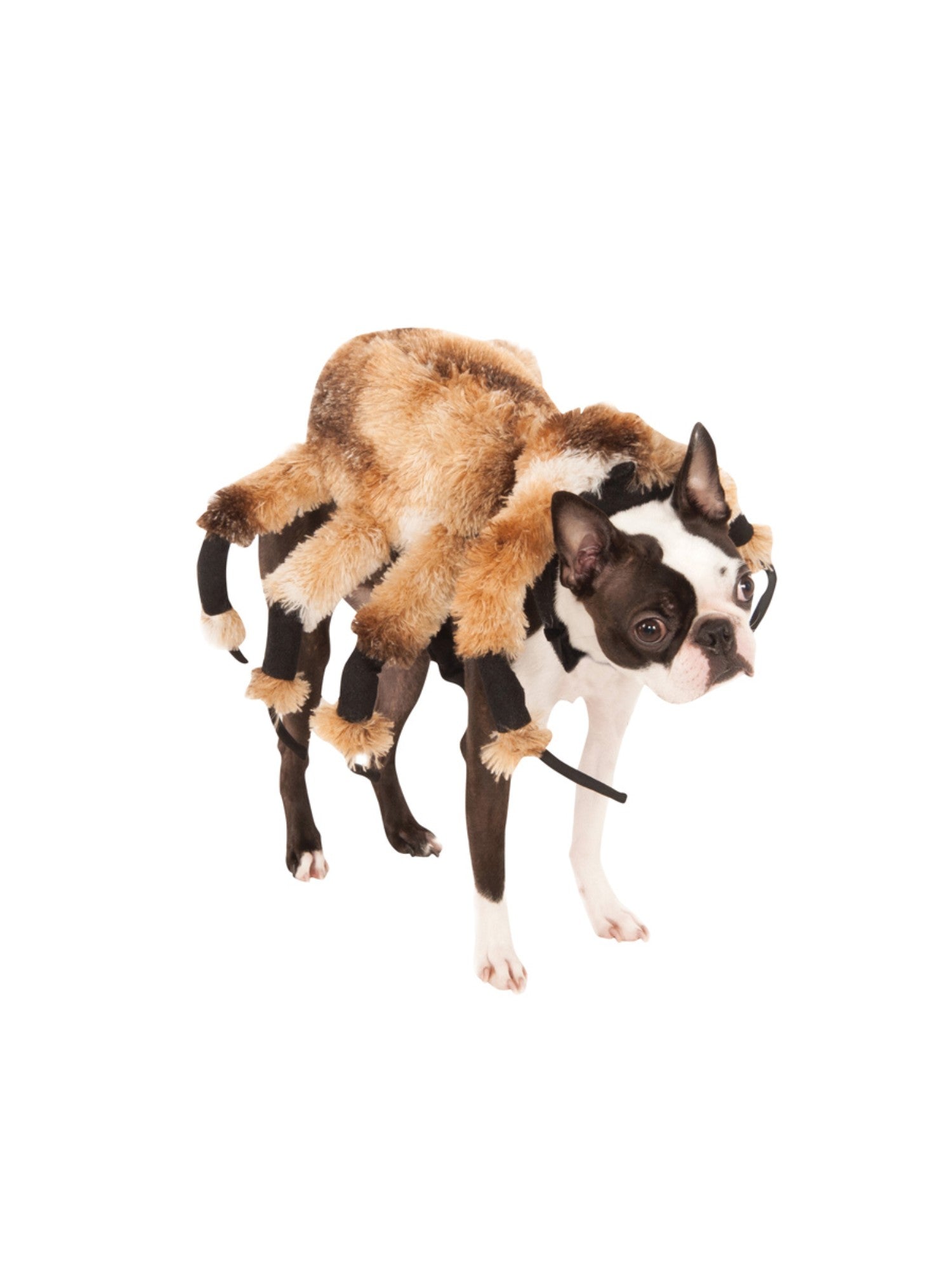 Giant Spider Pet Costume
