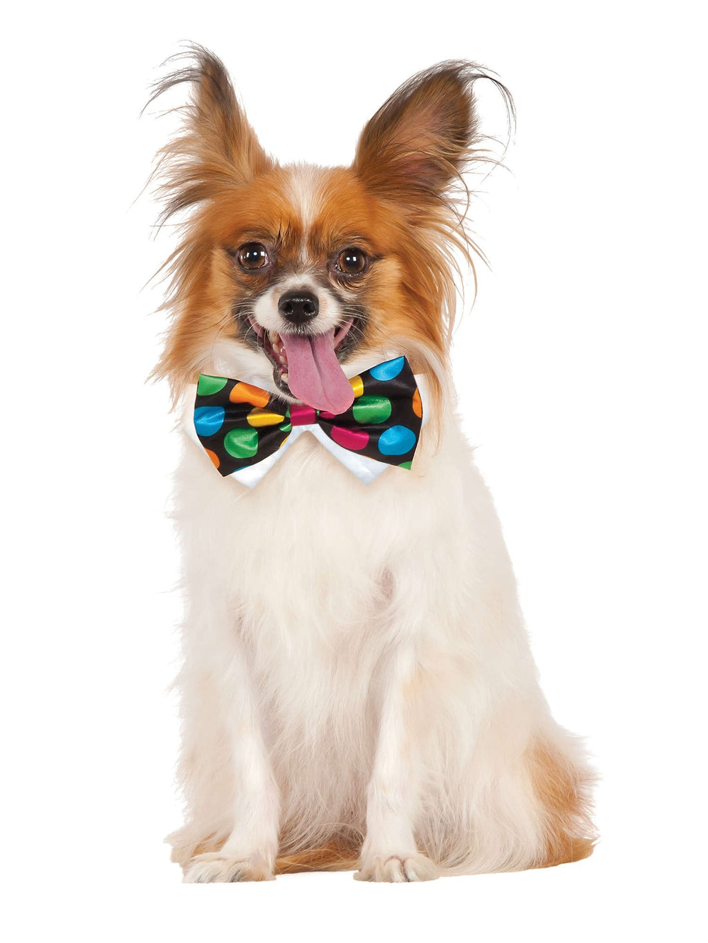 Halloween Polka Dot Bowtie Pet Costume