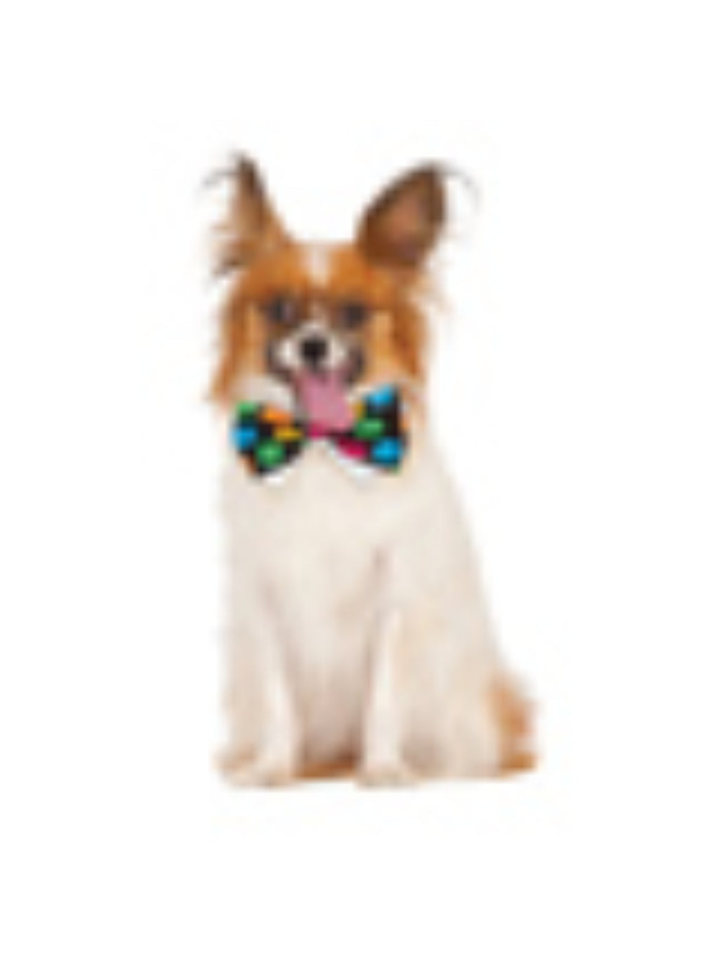 Halloween Polka Dot Bowtie Pet Costume