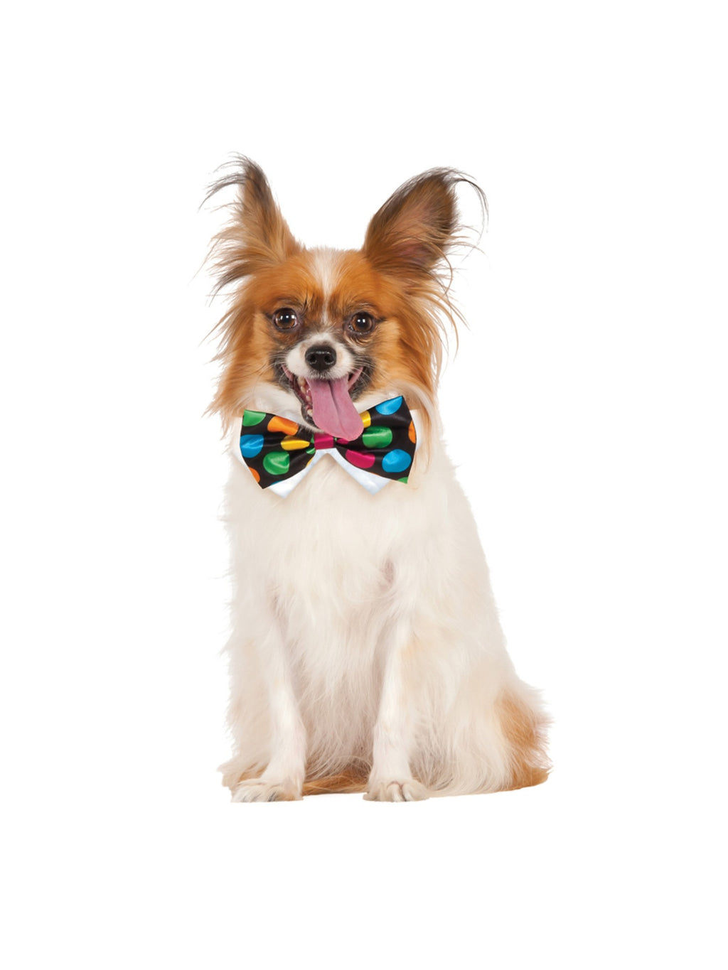 Halloween Polka Dot Bowtie Pet Costume