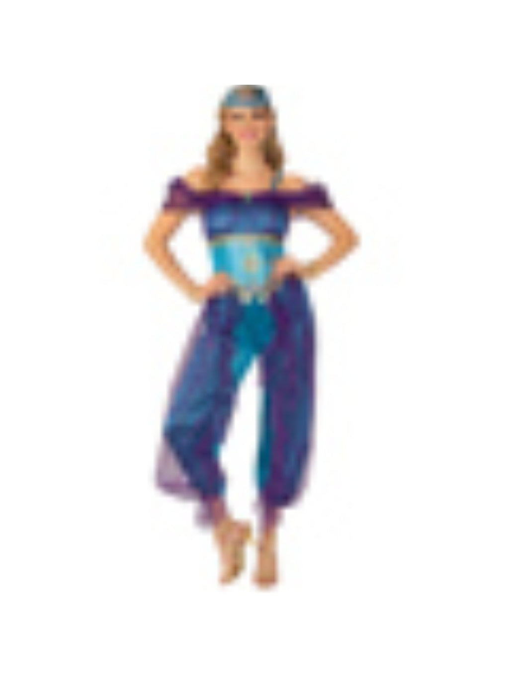 Adult Ladies Genie Costume