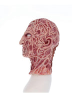 A Nightmare On Elm Street Freddy Krueger Mask