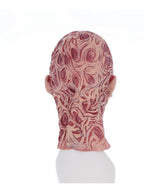 A Nightmare On Elm Street Freddy Krueger Mask