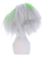 Beetlejuice Mens Wig