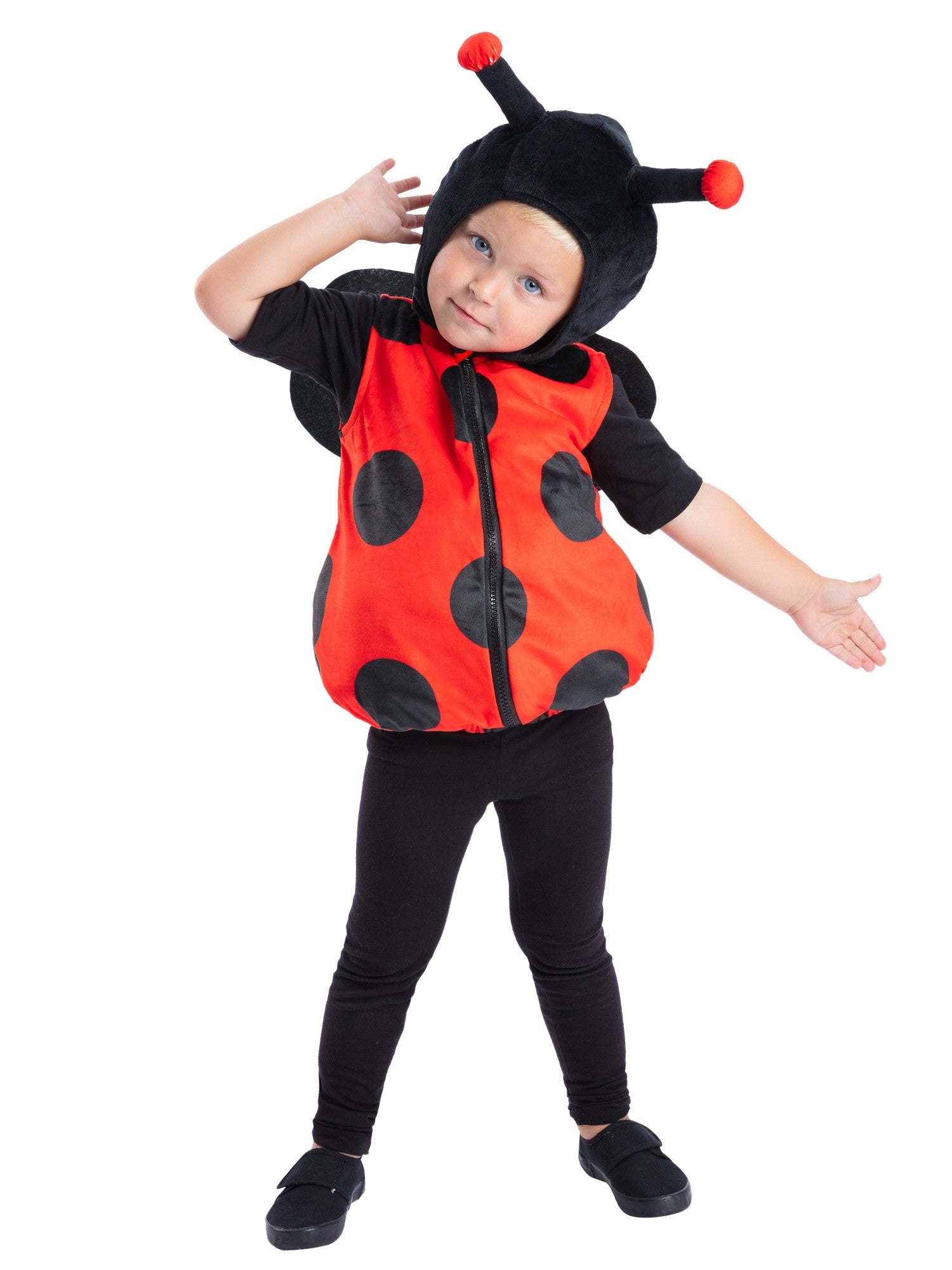 Ladybird Costume