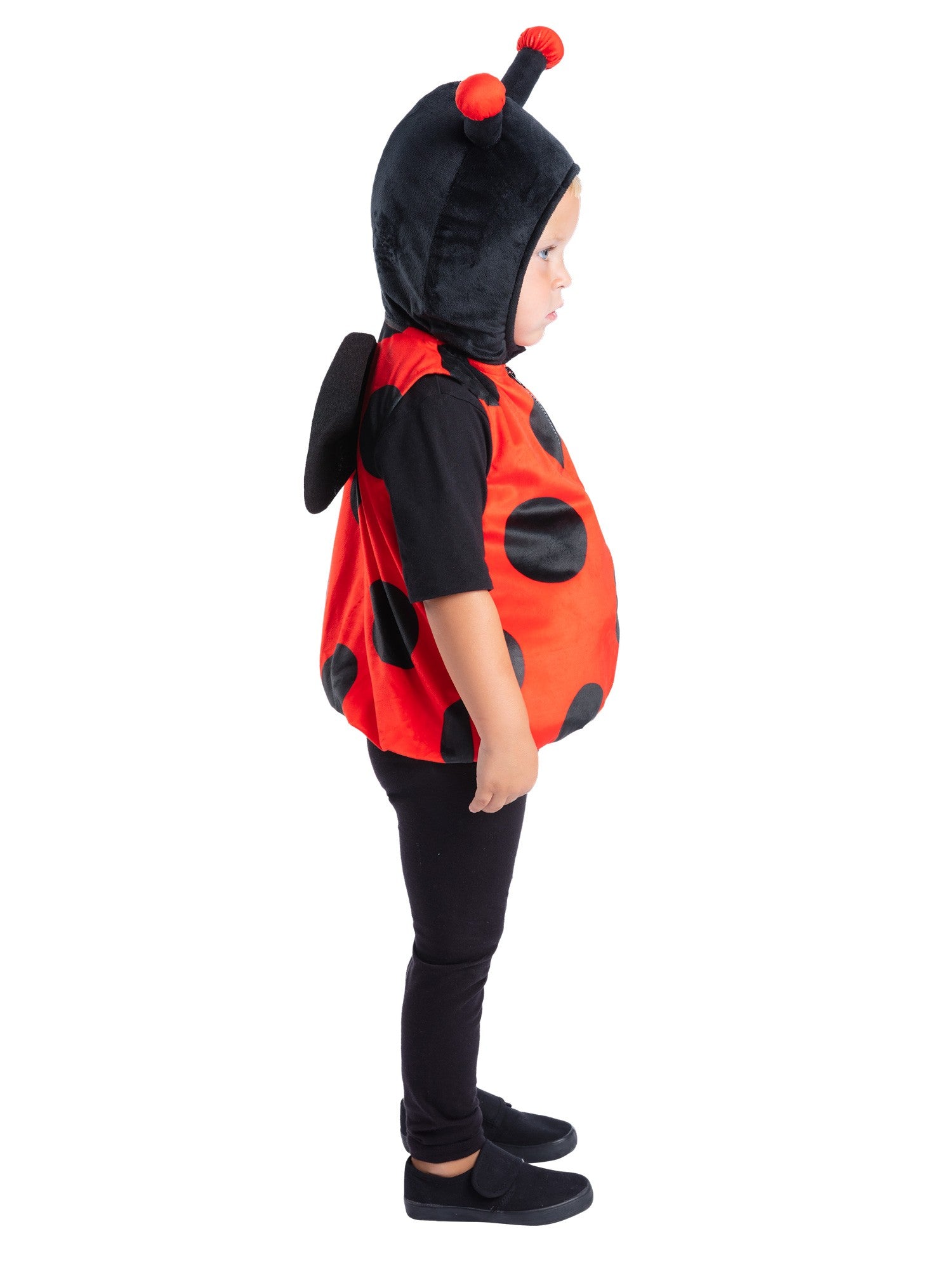 Ladybird Costume