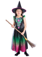 Wicked Witch Light Up Costume