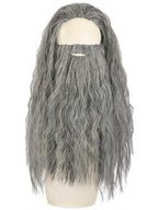 Sorcerer Wig & Beard Set Grey