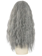 Sorcerer Wig & Beard Set Grey