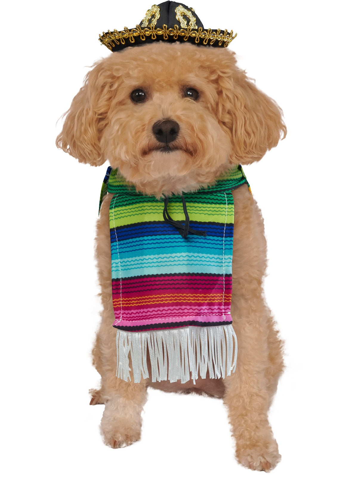 Mexican Serape Pet Costume
