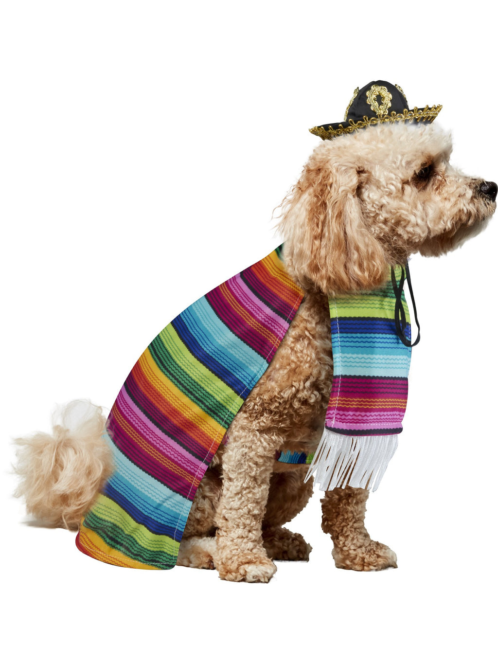 Mexican Serape Pet Costume