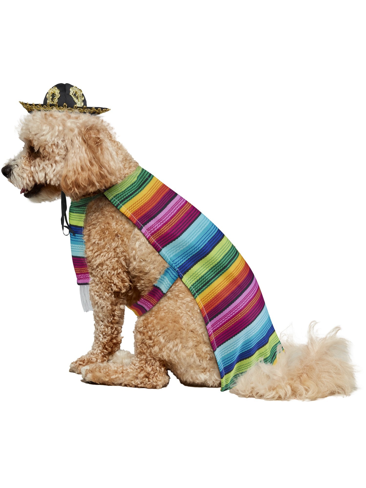 Mexican Serape Pet Costume