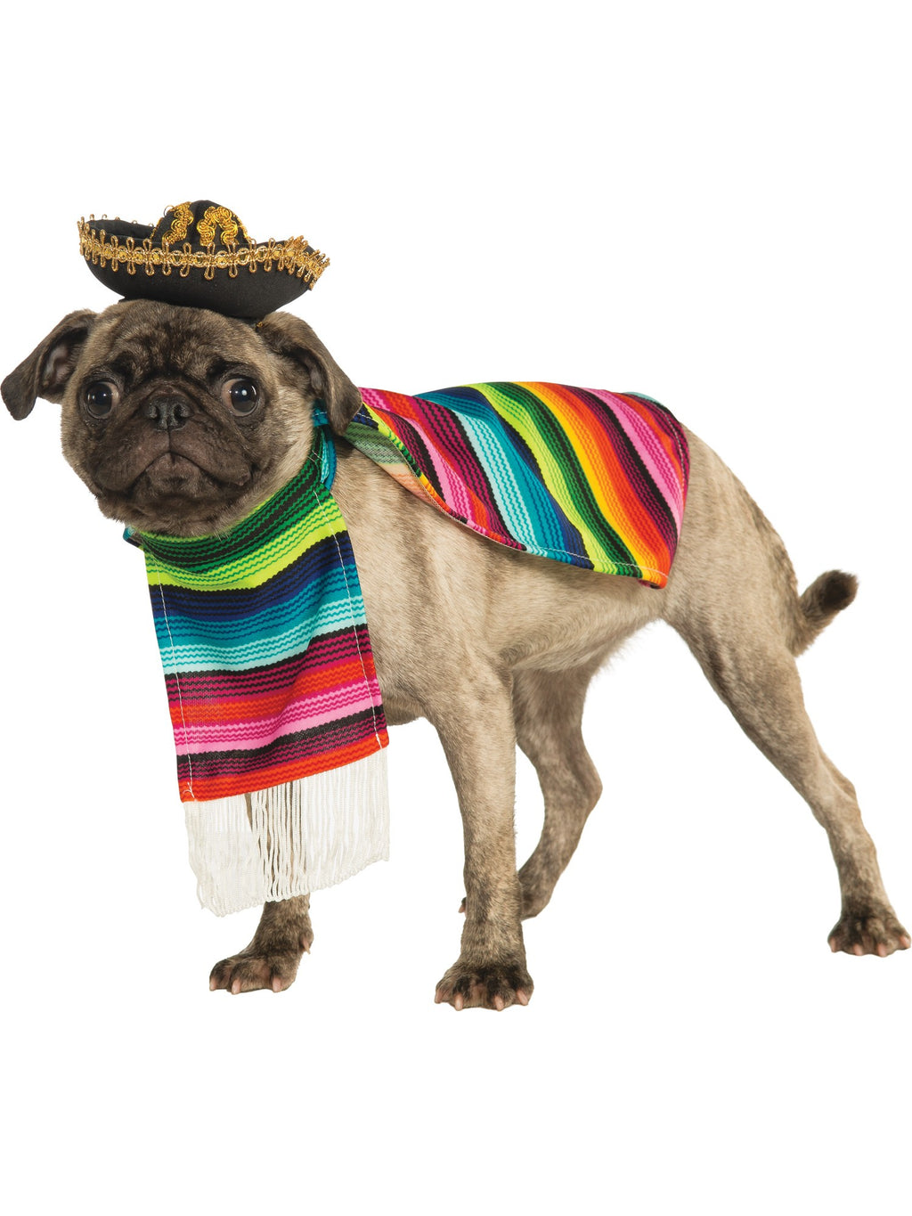 Mexican Serape Pet Costume