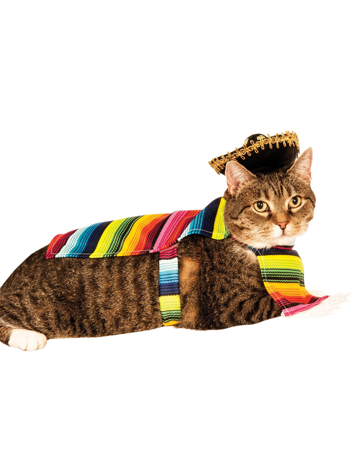 Mexican Serape Pet Costume