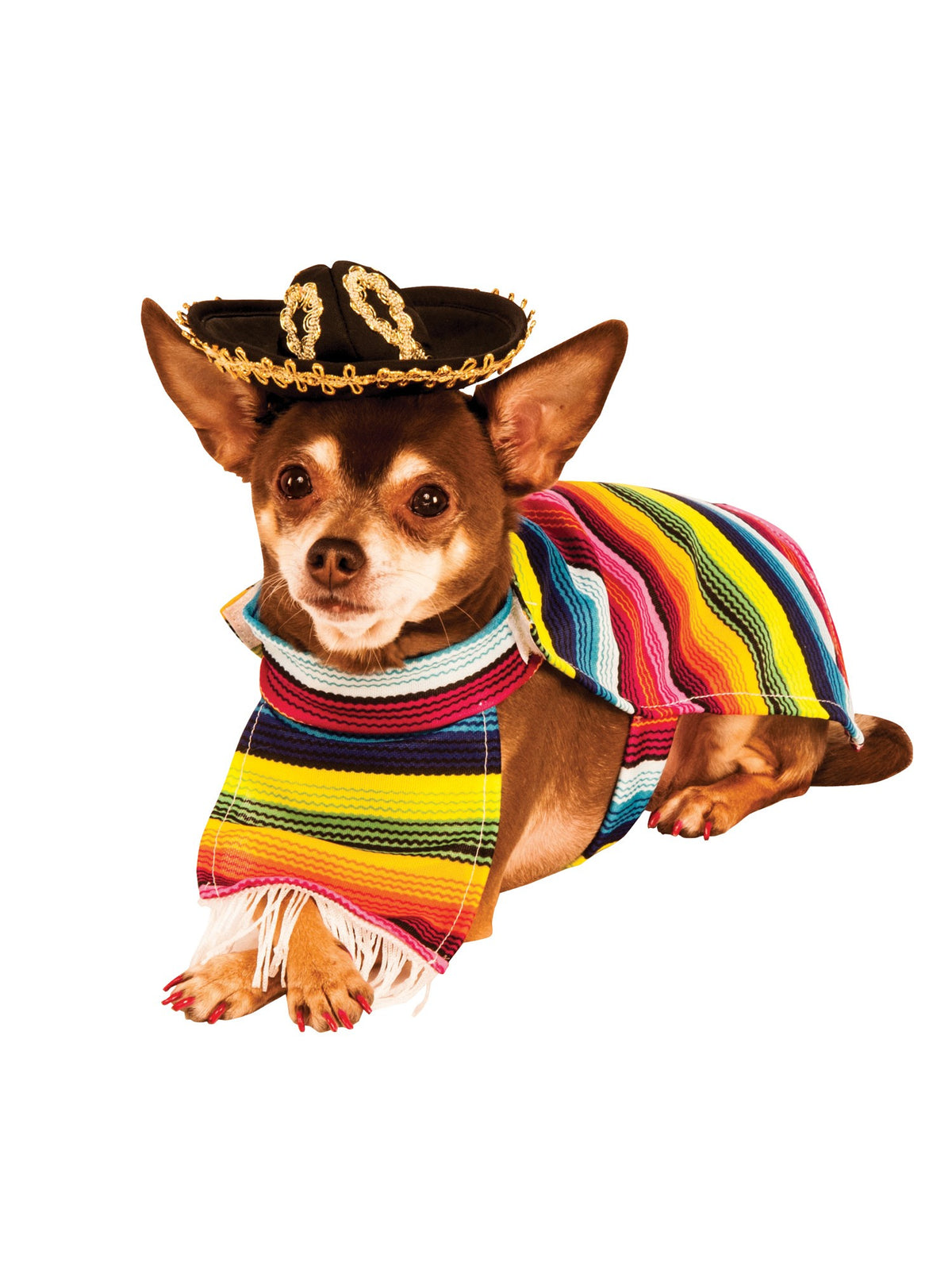 Mexican Serape Pet Costume