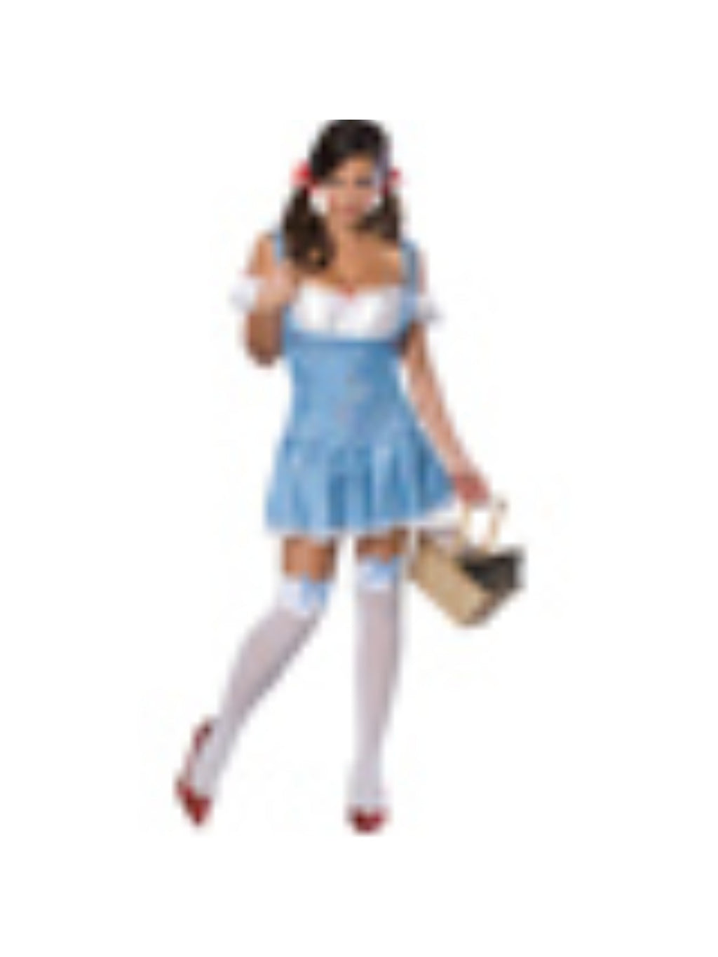 Adult Secret Wishes Dorothy Costume