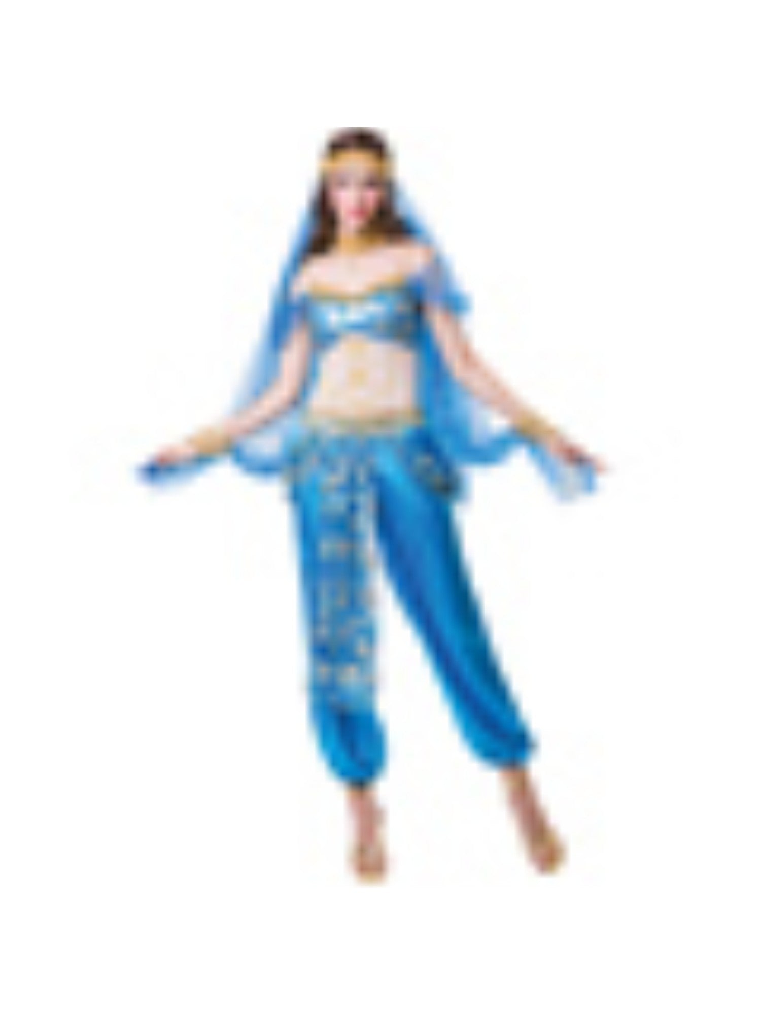Adult Harem Dancer Costume