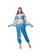 Adult Harem Dancer Costume