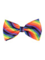 Rainbow Bow Tie Costume Accessory