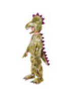 Dinosaur T-Rex Kids Costume