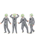 Beetlejuice Costume, Adults