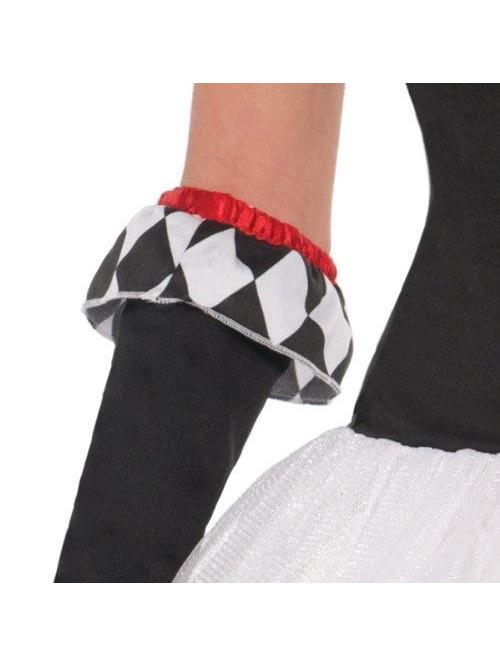 Harlequin Honey Ladies Costume