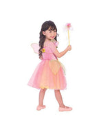 Peach Sorbet Girls Fairy Costume