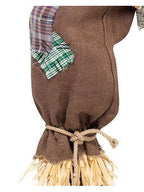 Mr. Scarecrow Costume with Pointed Hat