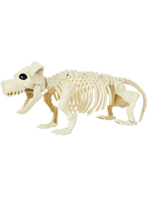 Dog Skeleton Prop