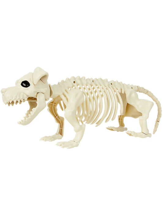 Dog Skeleton Prop