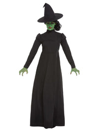 Wicked Witch Costumes from Wizard Of Oz