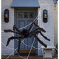 Outdoor Giant Spider & Web