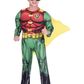 Robin Classic Boys Costume