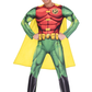 Robin Classic Mens Costume
