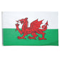 Welsh Flag, 5ft x 3ft