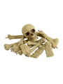 Bag of Bones & Skull Prop