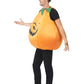 Pumpkin Costume Alternative View 1.jpg