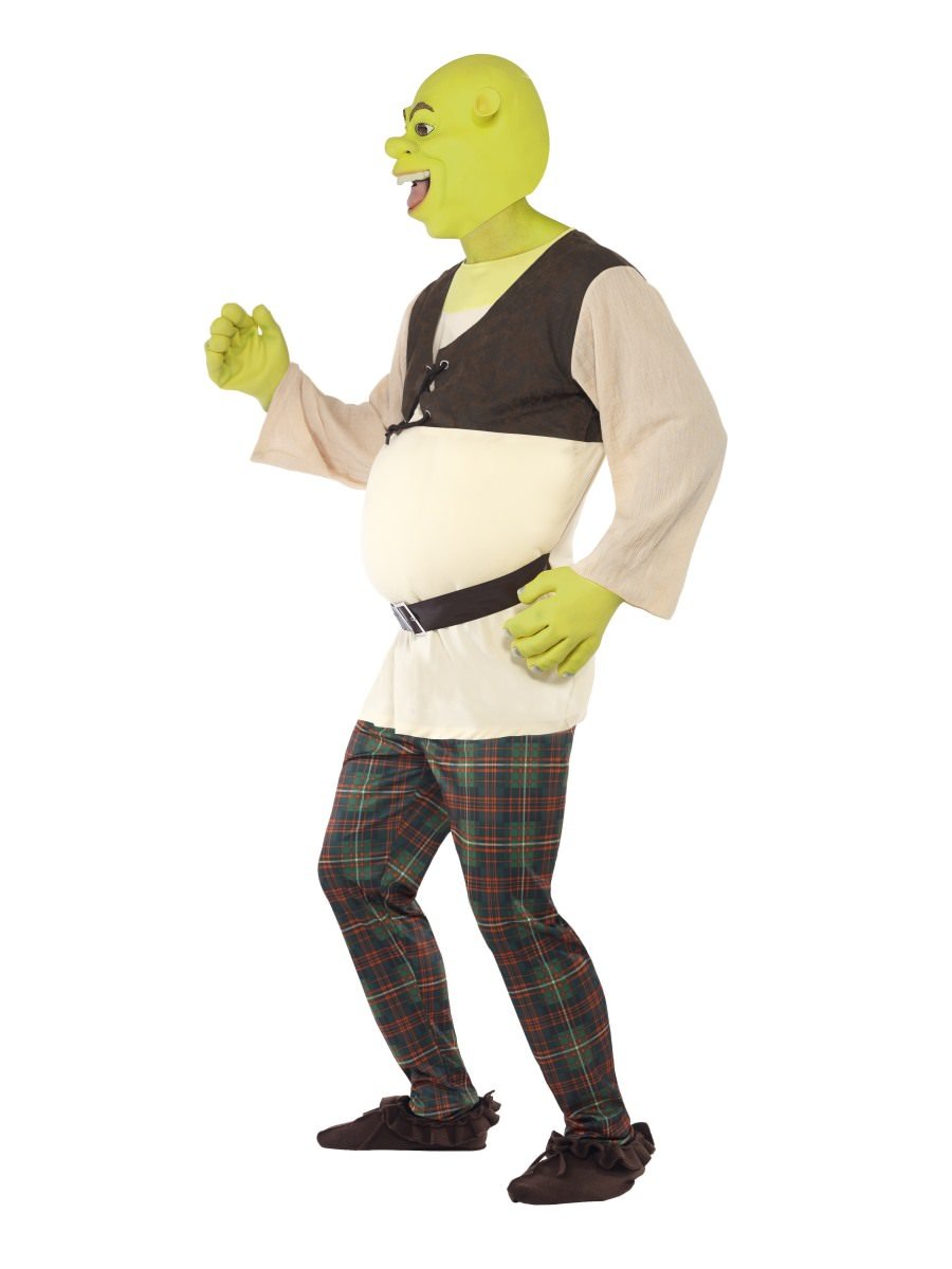 Shrek Costume Alternative View 1.jpg