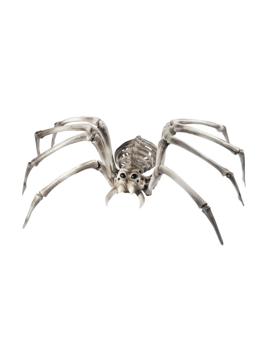 Spider Skeleton Prop